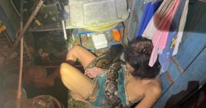 64-year-old woman survives four-hour struggle with a 13-foot long python