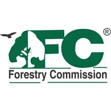 Forestry Commission Arrests 13 Ghanaians For Galamsey Activities In Boin Tano Forest&nbsp;Reserve.